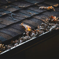 5 Things To Do Right Now To Prepare Your Home for Fall