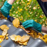 5 Things To Do Right Now To Prepare Your Home for Fall