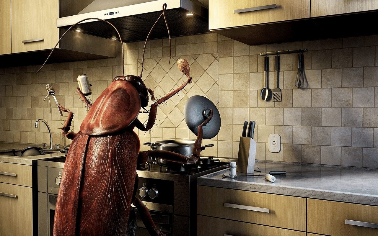 Bugs Begone Keep Kitchen Pests Away With These Tips The Cabinet Doctors